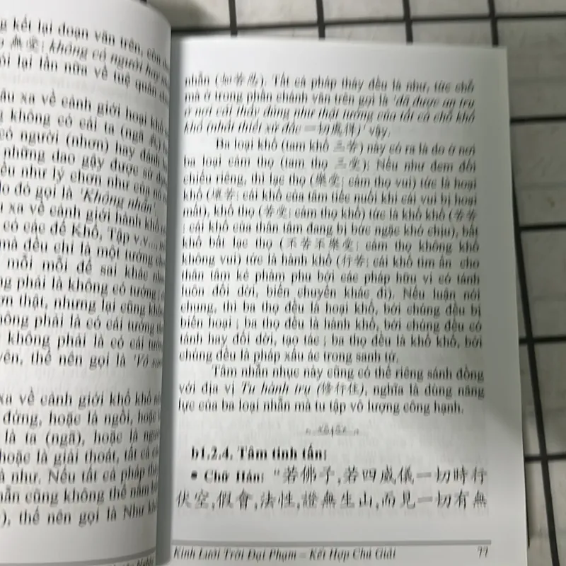 kinh lưới trời đại phạm phẩm tâm địa của bồ tát 699100