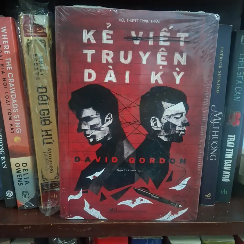 KẺ VIẾT TRUYỆN DÀI KỲ 705093