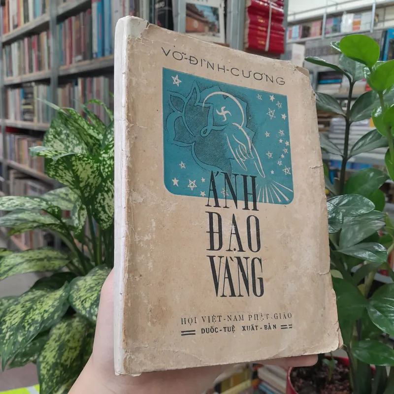 ÁNH ĐẠO VÀNG - VÕ ĐÌNH CƯỜNG 729068