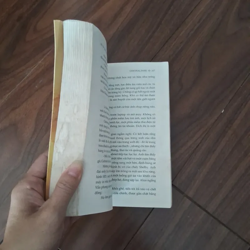 Central park - gullaume musso 734268