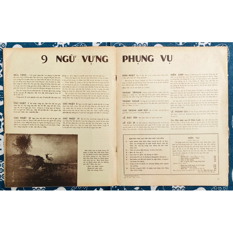 Tạp Chí Mùa Vọng và Sinh Nhật - Mùa Chay và Phục Sinh 455257