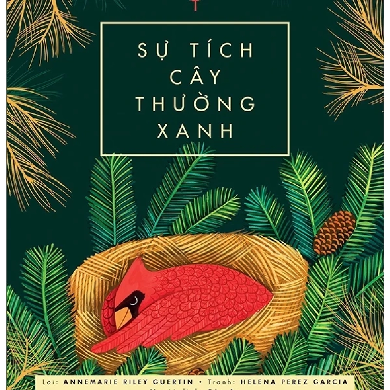 Sự Tích Cây Thường Xanh - Annemarie Riley Guertin, Helena Perez Garcia (Mới 100%) Truyện thiếu nhi, NXB Kim Đồng - SÁCH ĐẠI HỌC 482936