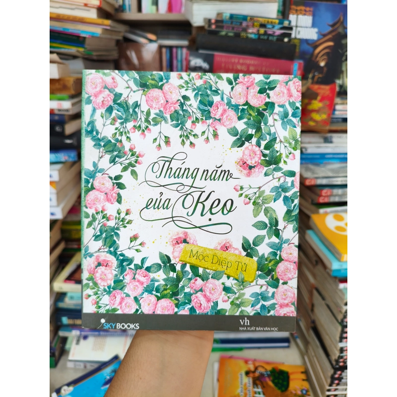 Tháng năm của kẹo 🌱 518039