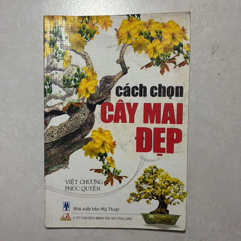 Cách chọn cây mai đẹp 799848