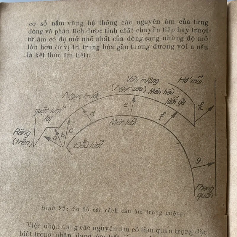 Vấn đề hồi phục chức năng cho người điếc, Phạm Kim 709412