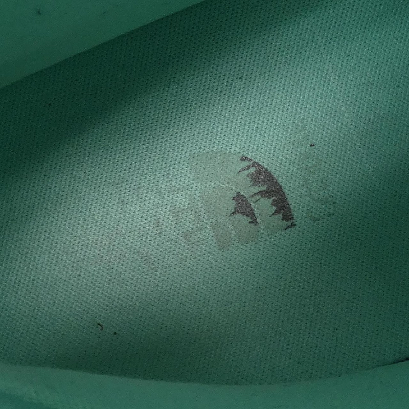 Giày THE NORTH FACE - Hàng hiệu Authentic 829861