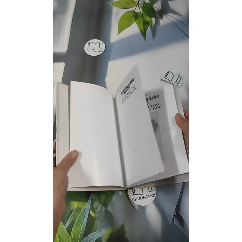 [MIỄN PHÍ BỌC SÁCH] Bài Thơ Vịnh Kiều Độc Đáo Và Cách Làm Thơ Thuận Nghịch Độc - Phạm Đan Quế 990454