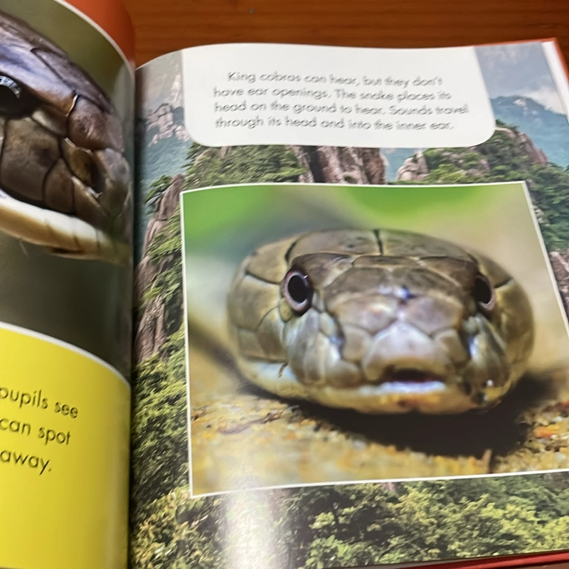PICTURE BOOK King cobras are awesome! 536371