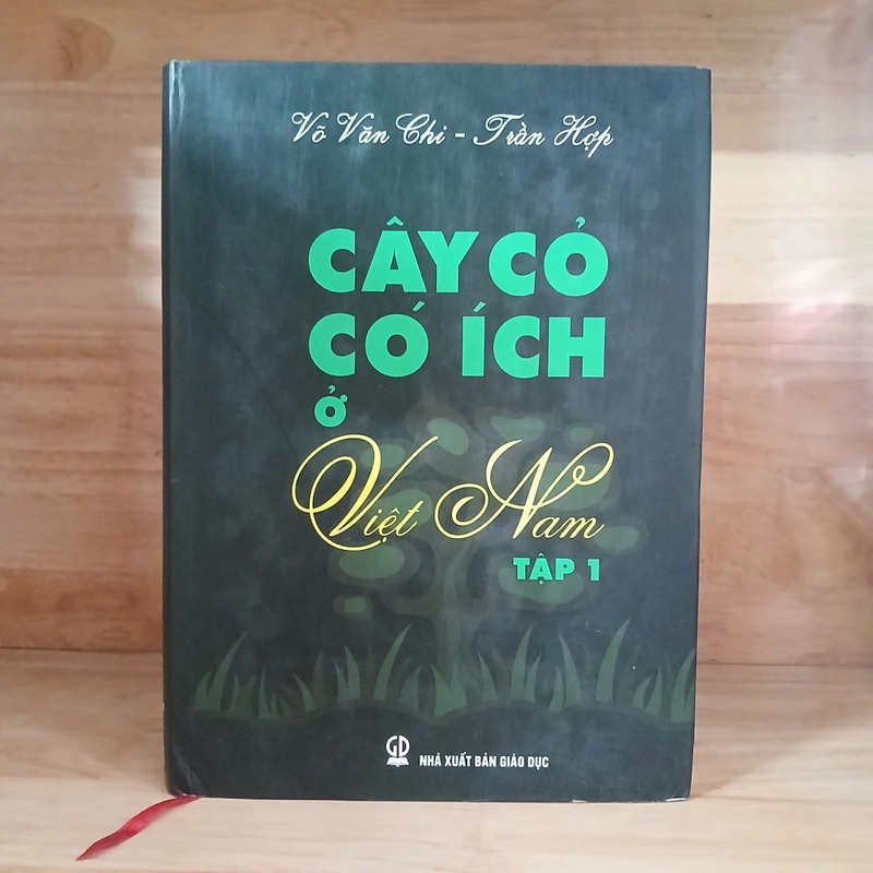 Cây Cỏ Có Ích Ở Việt Nam (Bộ 2 Tập) - Võ Văn Chi, Trần Hợp 525846