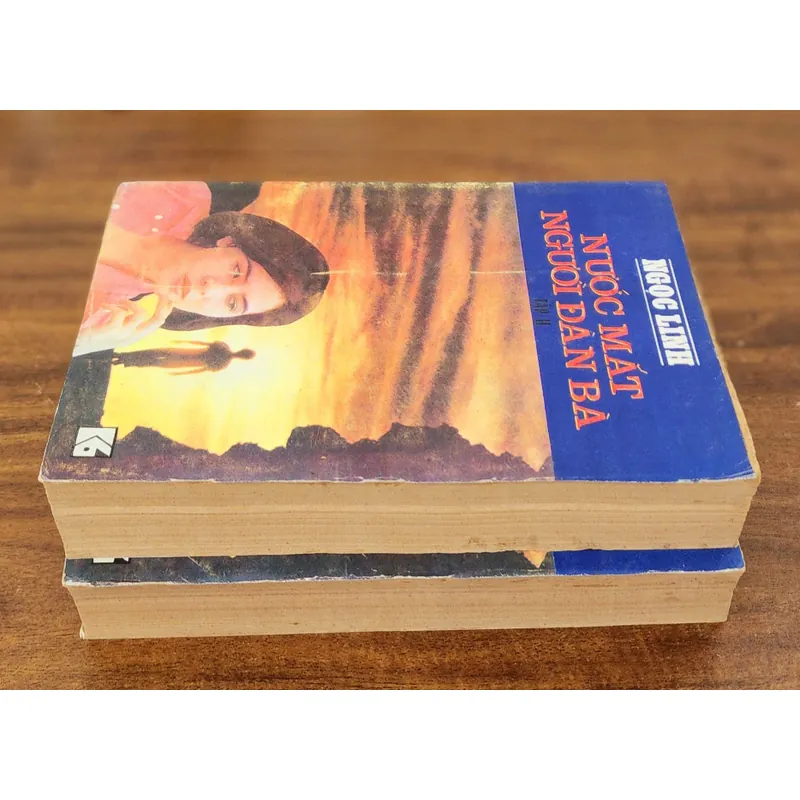 Tiểu thuyết của tác giả Ngọc Linh: NƯỚC MẮT NGƯỜI ĐÀN BÀ (828 trang) 723297