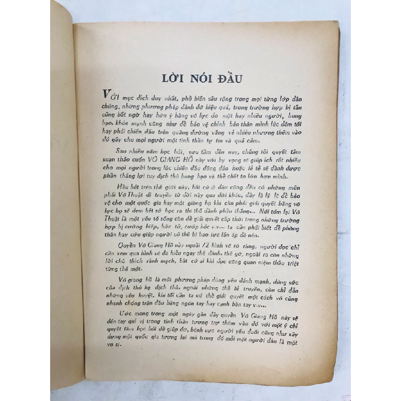 Võ giang hồ - Đinh Đức Cư 127365