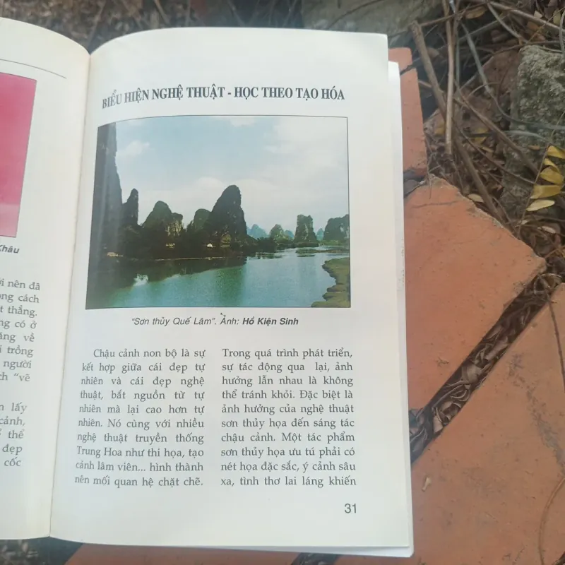 Nghệ thuật chế tác non bộ 1010161