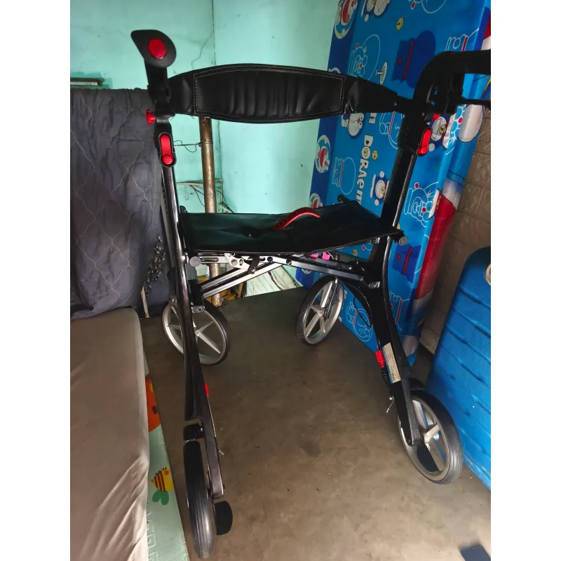 Xe tập đi cho người lớn tuổi  975513