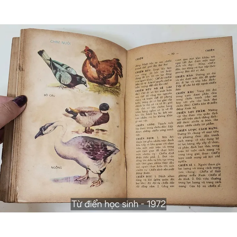 TỪ ĐIỂN HỌC SINH 1972 - tranh in màu 702742