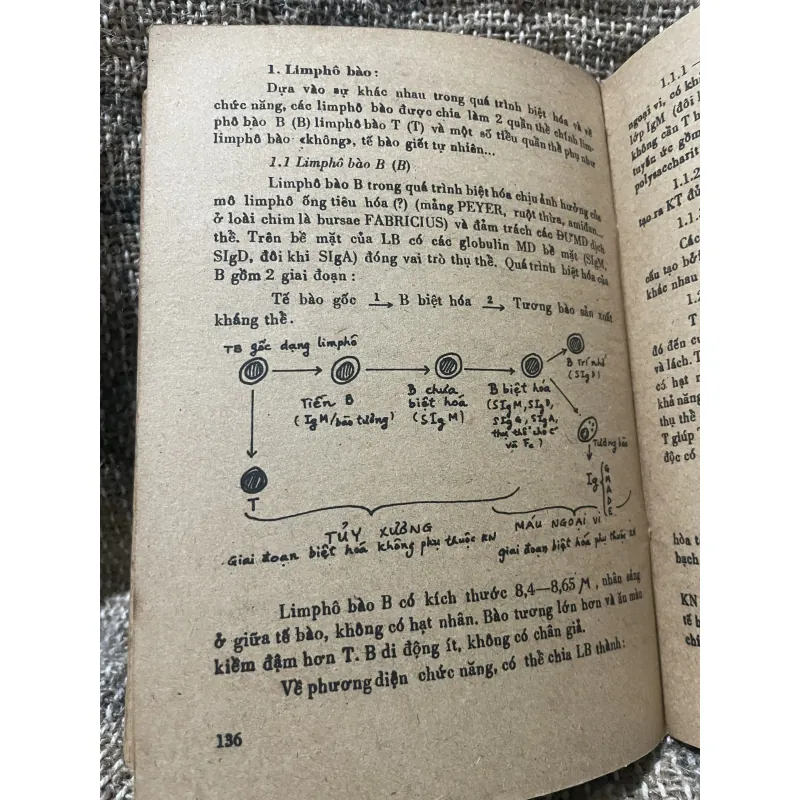 TRƯỜNG ĐẠI HỌC Y DƯỢC TP. HỘ CHÍ MNH - GIẢI PHẨU BỆNH HỌC - 500 trang  1007036