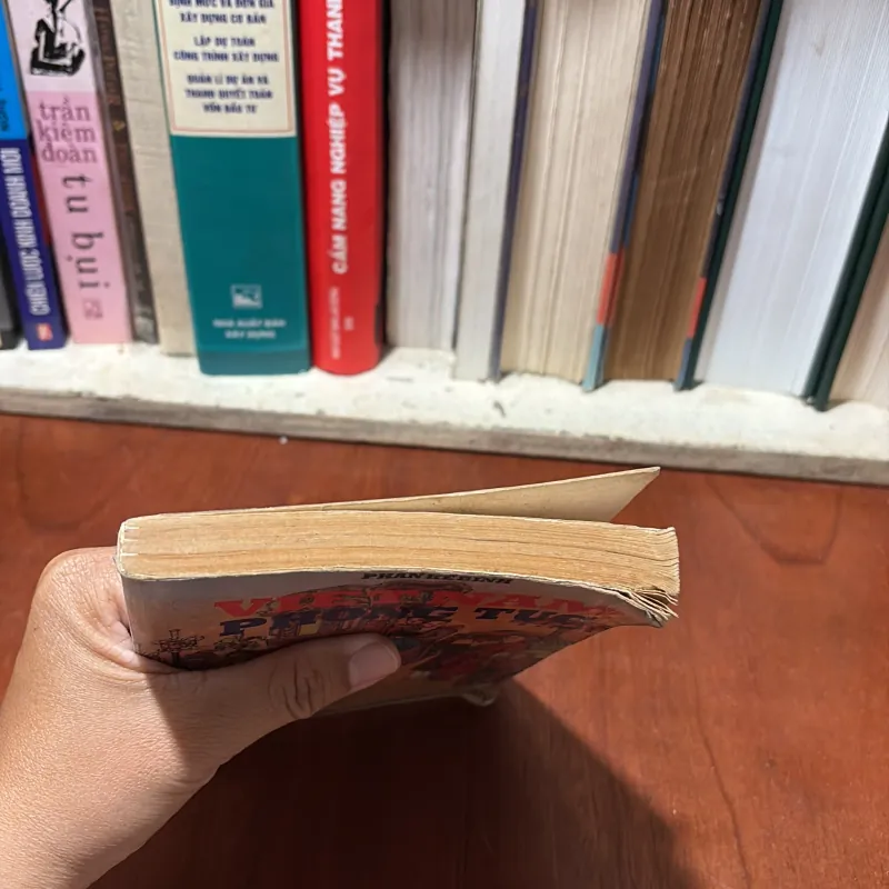 II Văn Hoá Việt: Việt Nam Phong Tục - Phan Kế Bính - 1999 778151