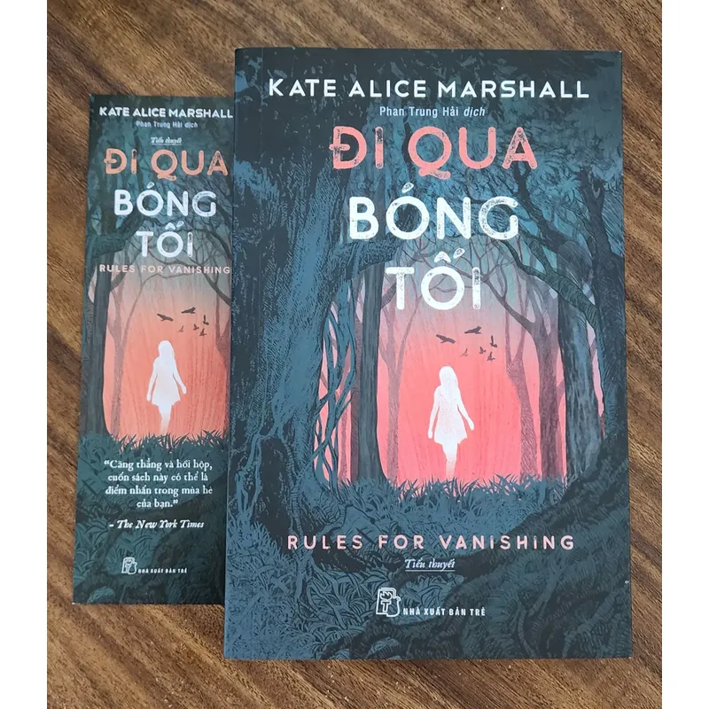 Tiểu thuyết ĐI QUA BÓNG TỐI - Rules for Vanishing (Kate Alice Marshall) 734045