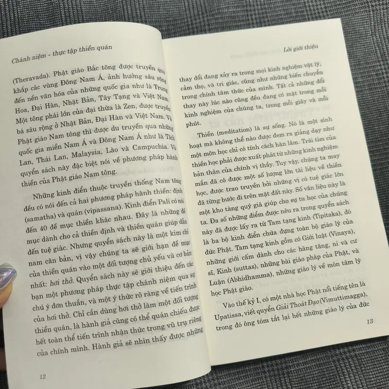 Chánh niệm - Thực tập Thiền quán - TT. Henepola Gunaratana - Dịch giả Nguyễn Duy Nhiên 606547