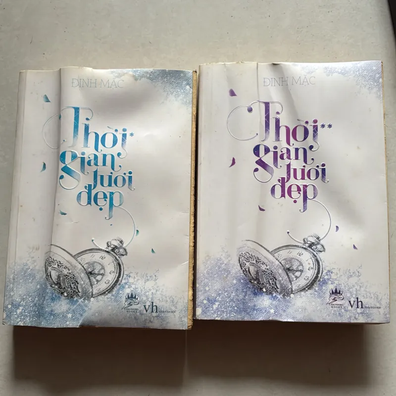 Thời gian tươi đẹp (Bộ 2 tập) - Đinh Mặc 789340