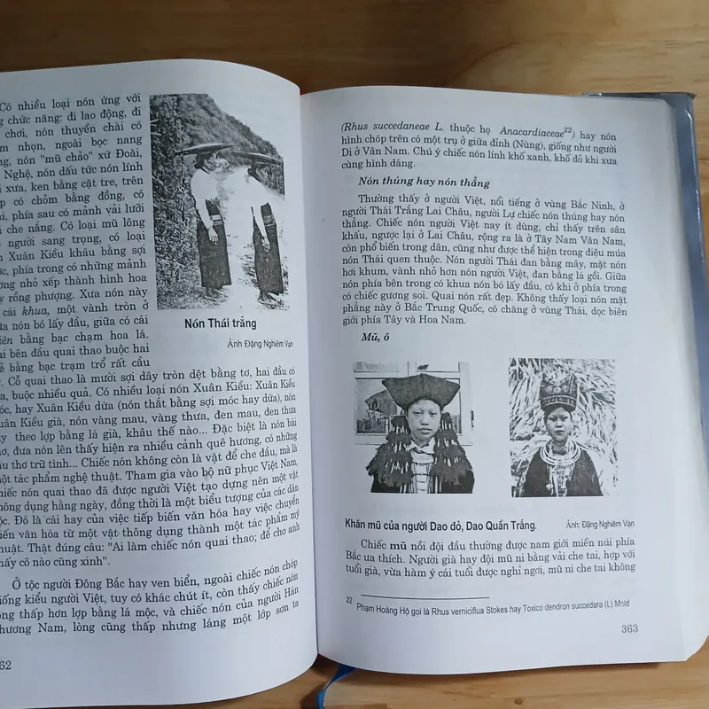 Văn Hóa Việt Nam Đa Tộc Người - Đặng Nghiêm Vạn 716808