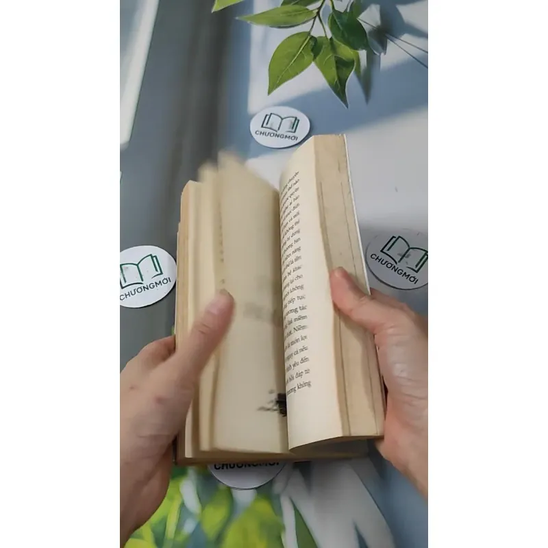 Hạnh Phúc Không Do Trời Định - Cá Chép 727225