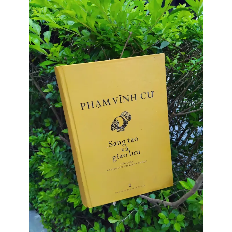 Sáng tạo và giao lưu của GS Phạm Vĩnh Cư 972237