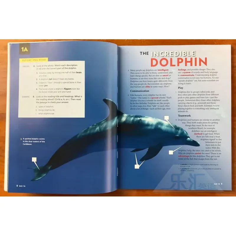 Reading explorer (Sách nhập) - 6 quyển - Phiên bản mới 758751