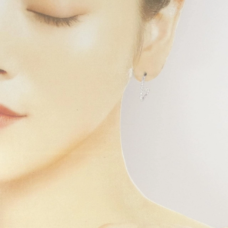 PT900 Bông tai kim cương 0.55CT - Hàng hiệu Chính hãng 867640