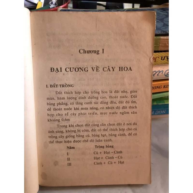 Trồng hoa cây cảnh trong gia đình - Nguyễn Huy Trí - Đoàn Văn Lư 1001807