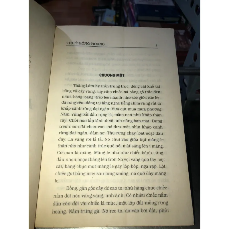 Thuở hồng hoang - Hoàng Văn Bổn 1009483