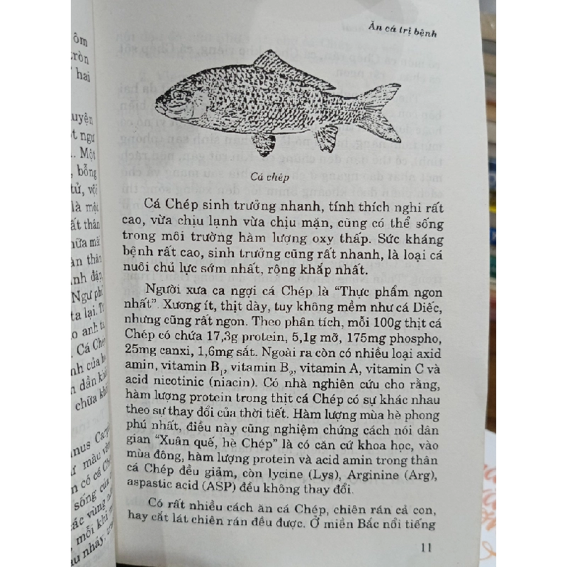 Ăn cá trị bệnh - Nguyễn Khắc Khoái (biên soạn) 501894