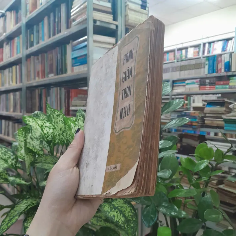 HÀNH GIẢN TRÂN NHU - HẢI THƯỢNG LÃN ÔNG 576013