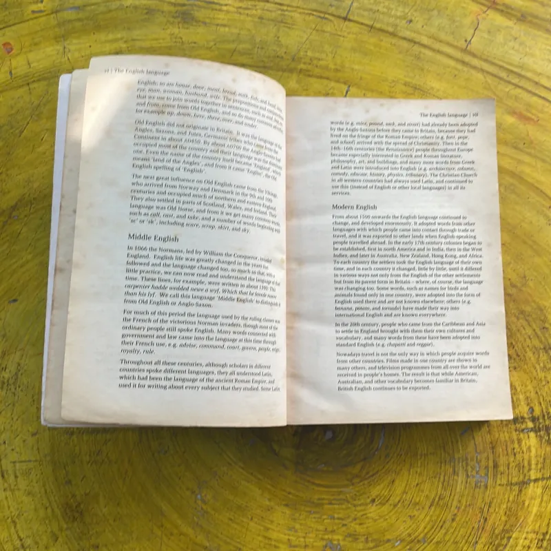 COMBO OXFORD SCHOOL DICTIONARY & TỪ ĐIỂN ANH VIỆT 973655