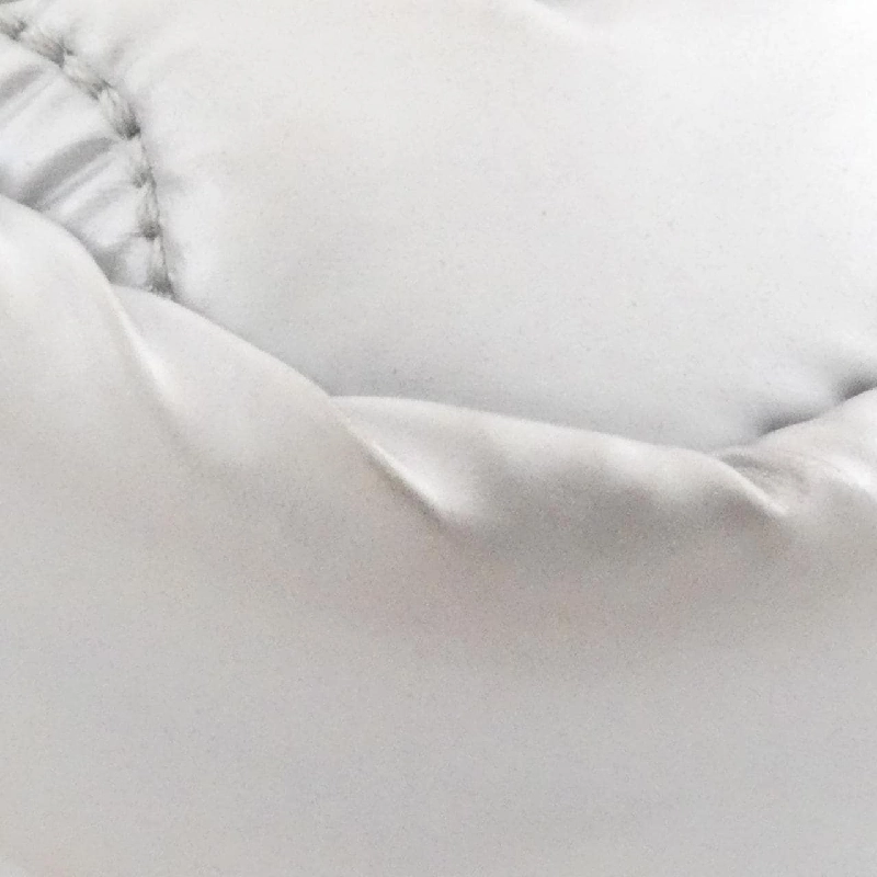 Túi đeo vai Louis Vuitton LV Pillow (Monogram) Phone Pouch M81716 612167