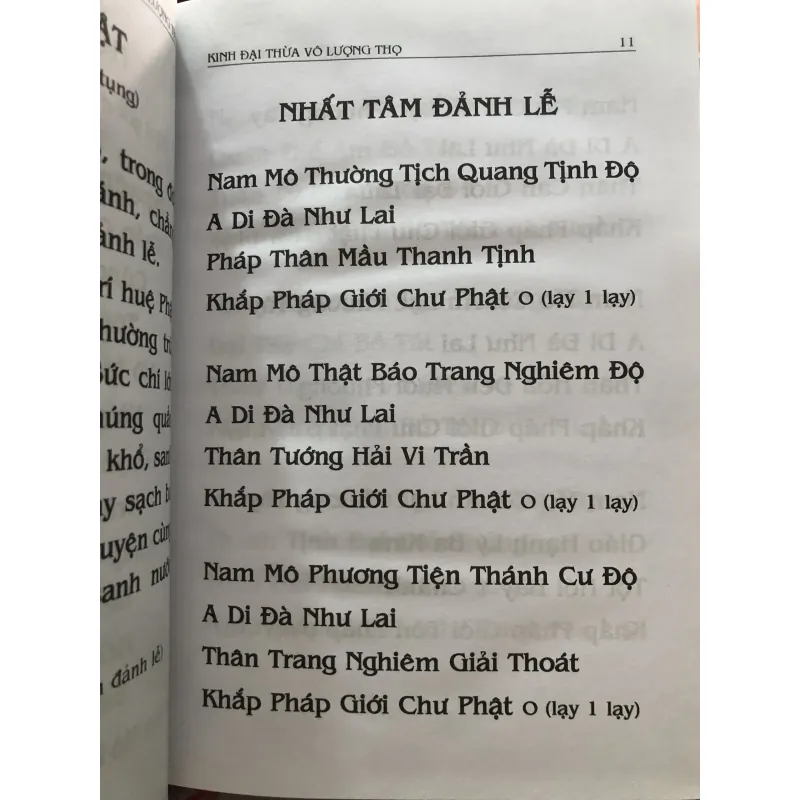 Phật thuyết đại thừa vô lượng thọ trang nghiêm thanh tịnh bình đẳng giác kinh  1009767