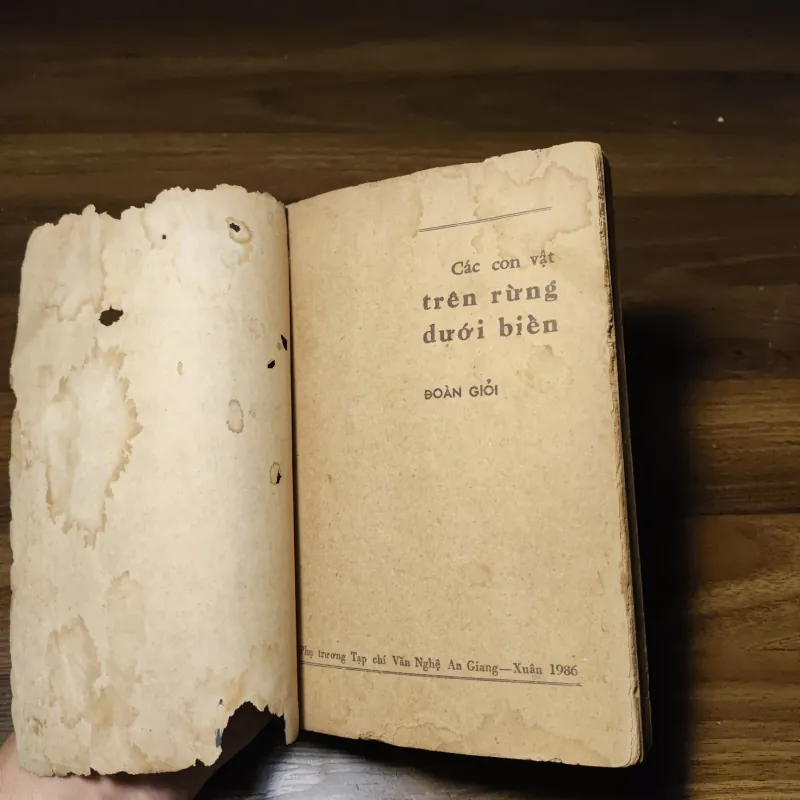 Các Con Vật Trên Rừng Dưới Biển - Đoàn Giỏi 1022201
