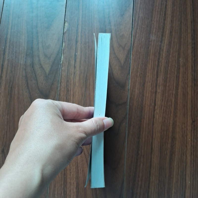 Nụ cười nước anh (song ngữ anh việt) 502215