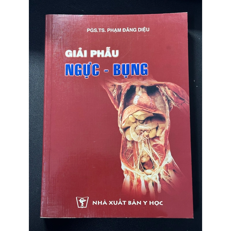 Giải Phẫu Ngực - Bụng 549236