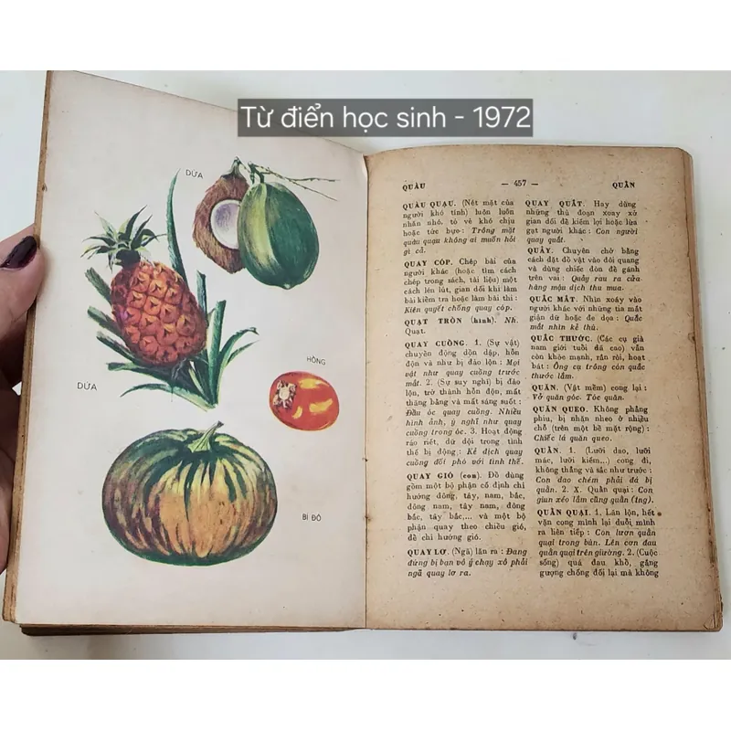 TỪ ĐIỂN HỌC SINH 1972 - tranh in màu 702742