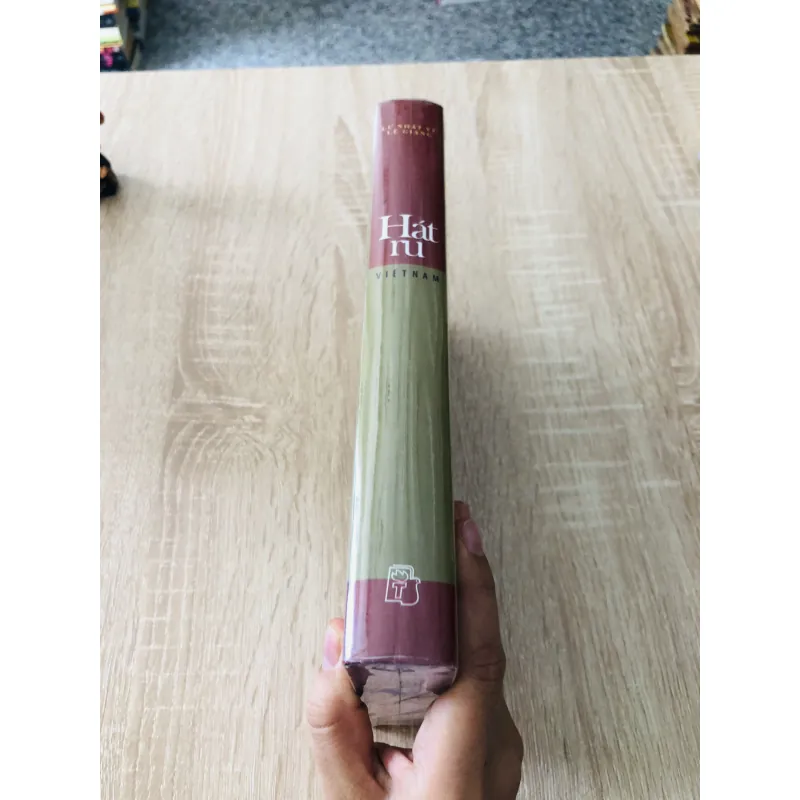 HÁT RU VIỆT NAM ( Lư Nhất Vũ, Lê Giang) 975786