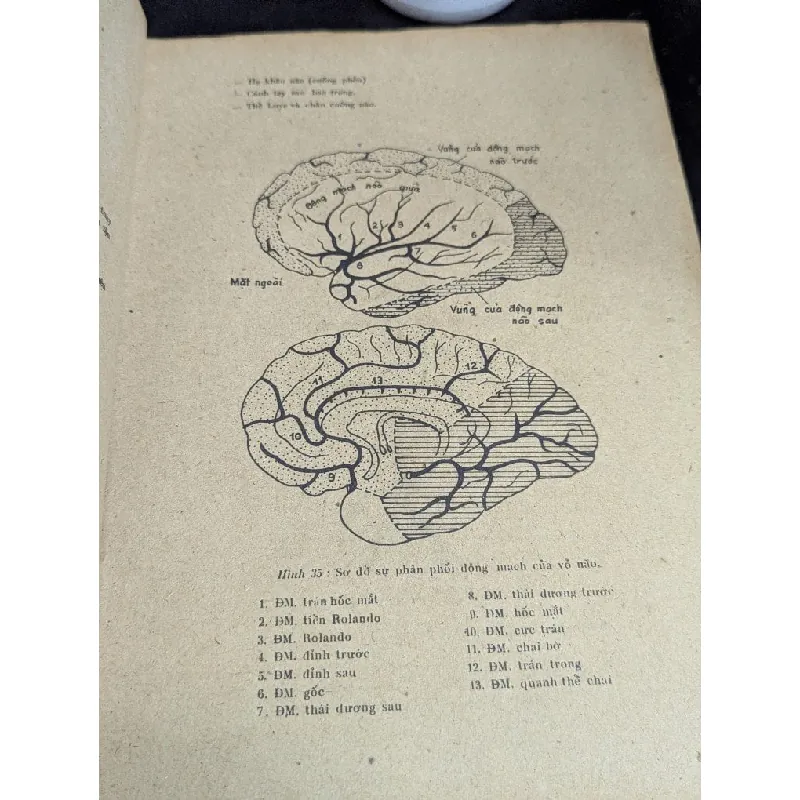 Hội chứng về bệnh học thần kinh - B.S Lê Văn Thành 605462