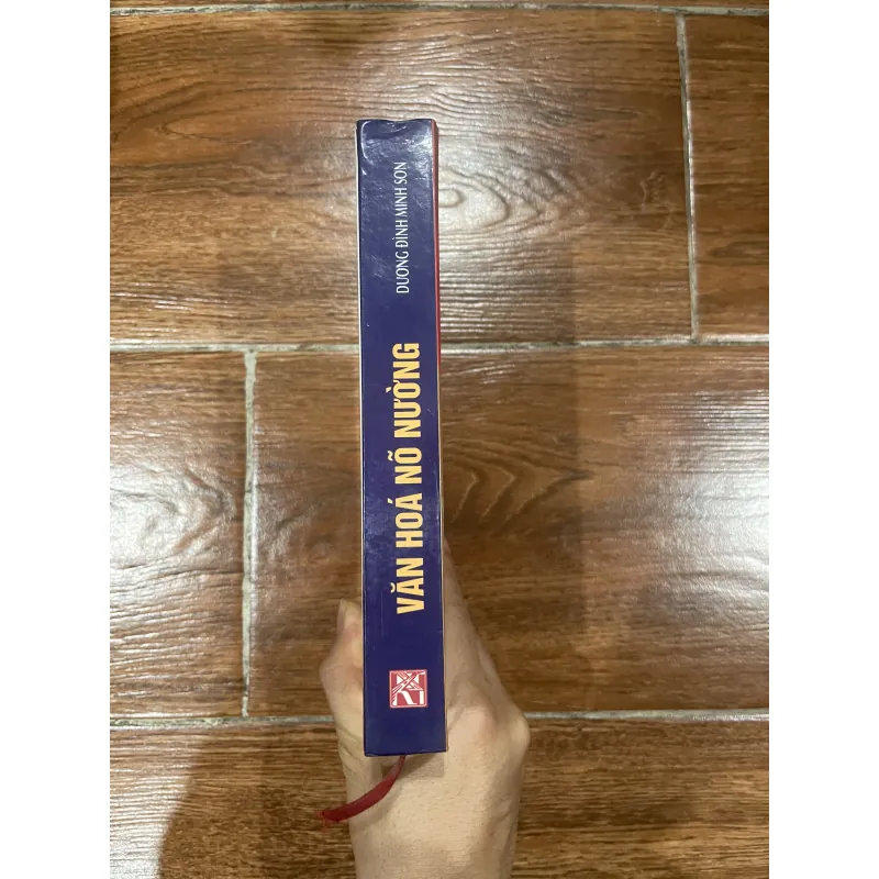 Văn Hoá Nõ Nường - Dương Đình Minh Sơn  (10) 1000745