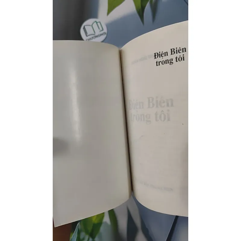 Điện Biên Trong Tôi - Đoàn Hoài Trung 798301