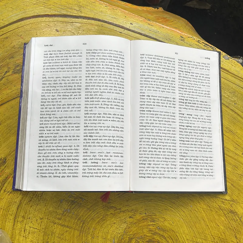 TỪ ĐIỂN TIẾNG VIỆT THÔNG DỤNG- NGUYỄN NHƯ Ý CHỦ BIÊN 697865