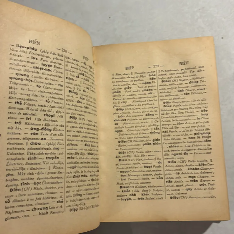 Việt Pháp tự điển - Đào Đăng Vỹ 720623