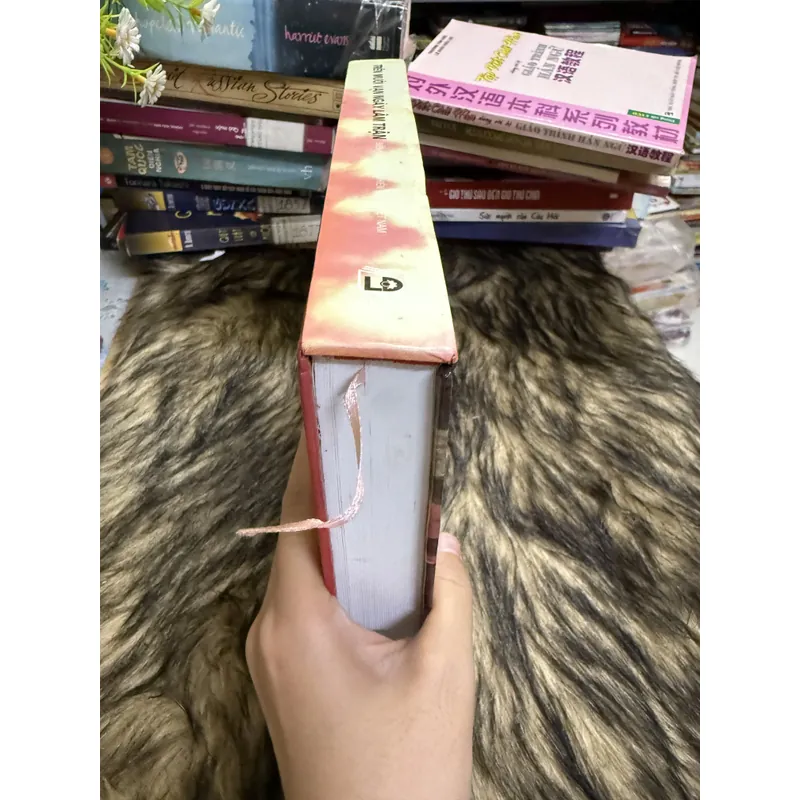 Trên mười vạn ngày lâm trận  600691