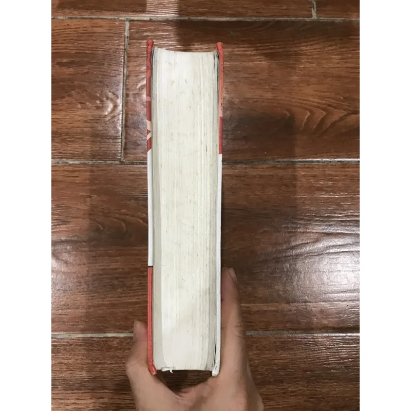 Chu Dịch Dịch Chú - Hoàng Thọ Kì - Trương Thiện Văn  (10) 993106