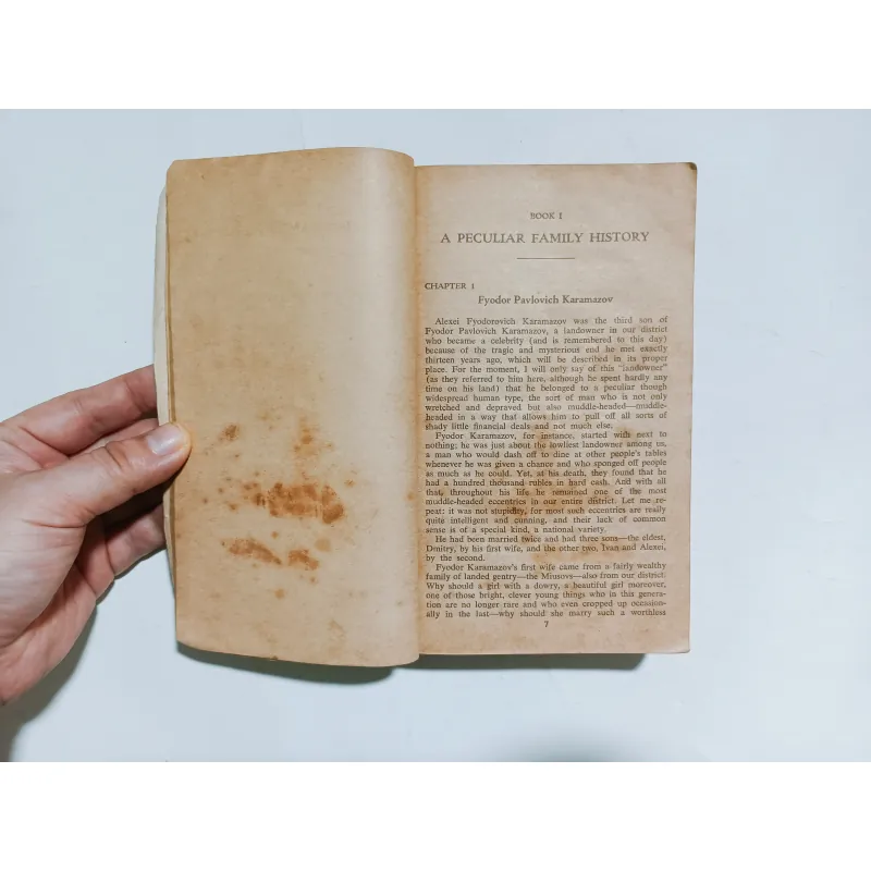 The Brothers Karamazov - F. Dostoevsky 1030031