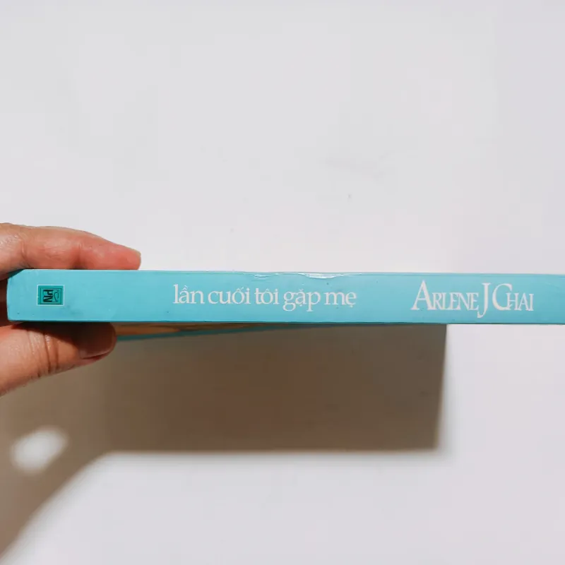 Lần Cuối Tôi Gặp Mẹ - Ariene J Chai
 795923