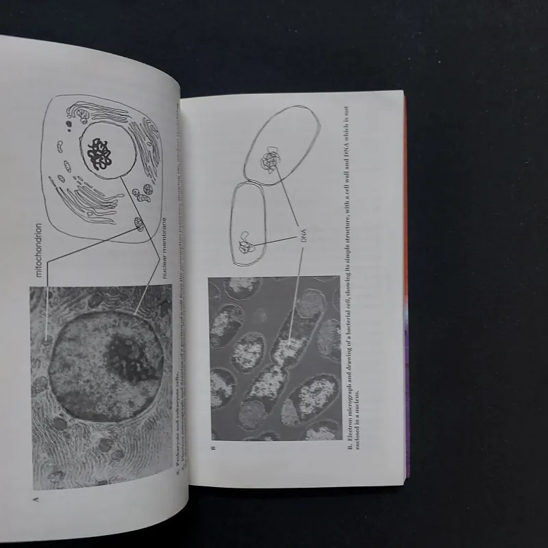 [Sách Cũ Ngoại Văn] Evolution: A Very Short Introduction 780698